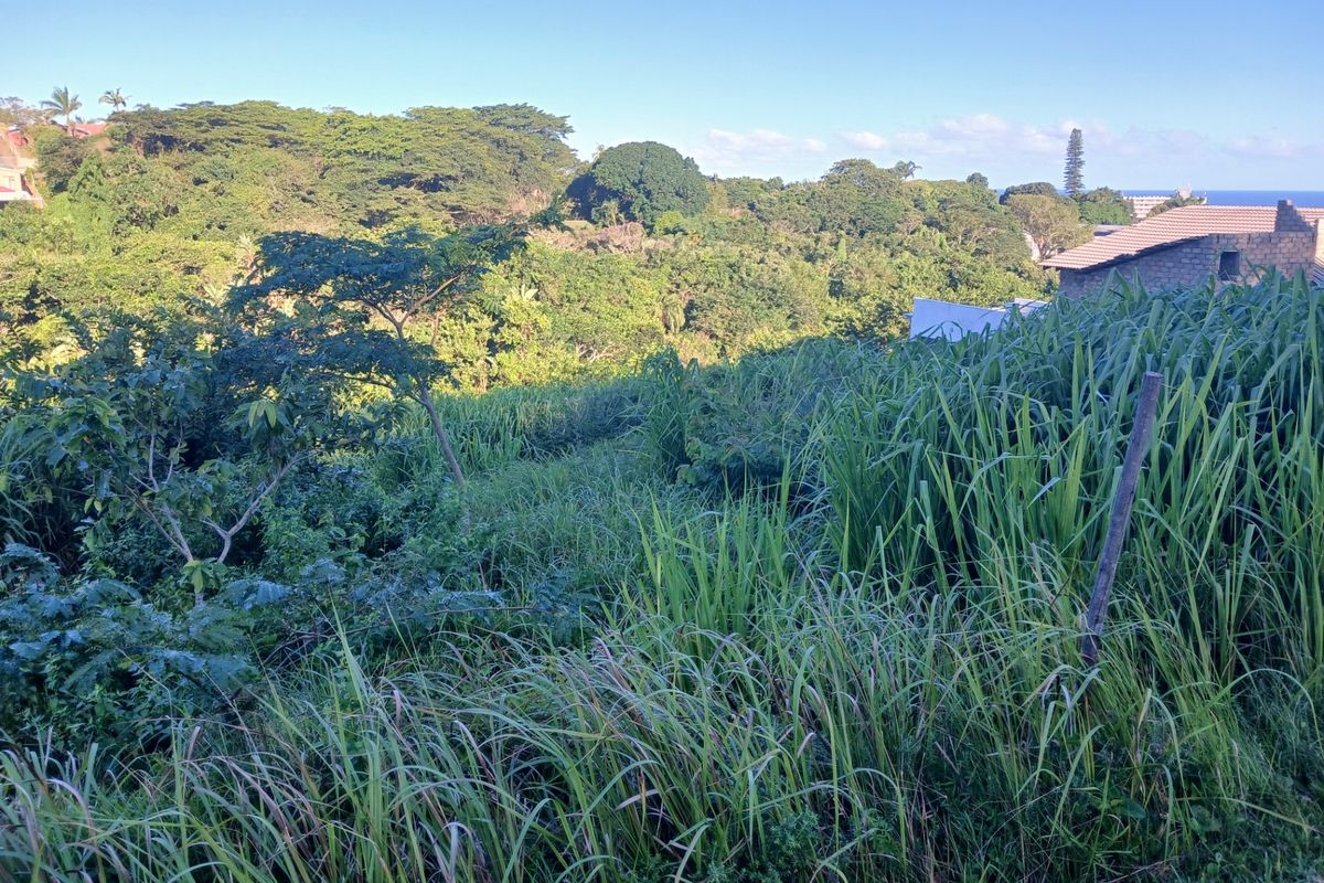 A view of the sloped, undeveloped residential land featuring dense natural vegetation and surrounding greenery.
