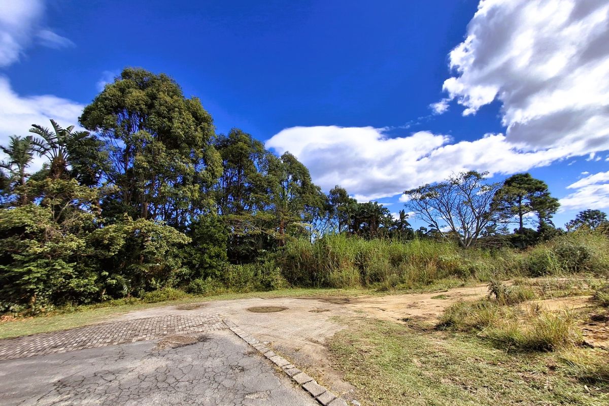 Vacant Land For Sale In Margate - Photo 3