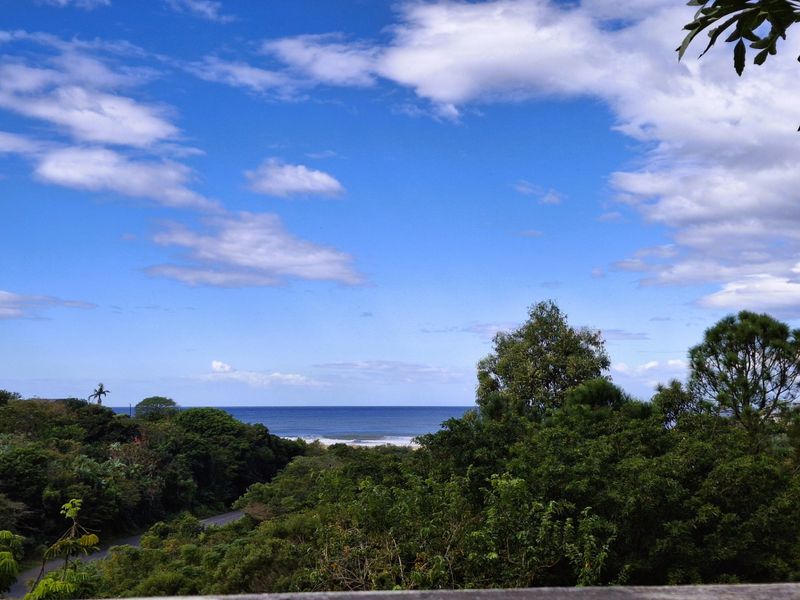 A scenic elevated view overlooking lush coastal vegetation and the ocean horizon.