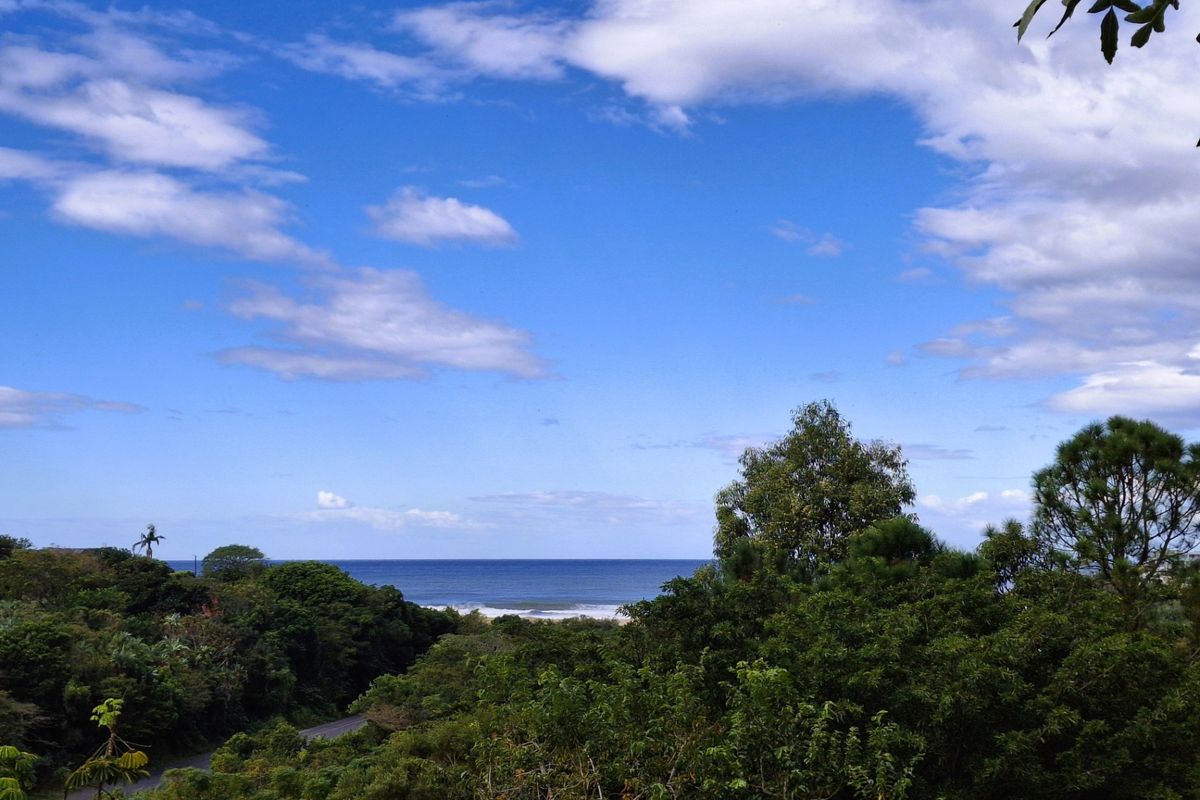 A scenic elevated view overlooking lush coastal vegetation and the ocean horizon.