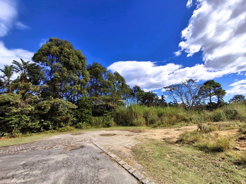 A view of a vacant residential plot featuring a paved driveway entrance, mature trees, and natural vegetation under a clear blue sky.