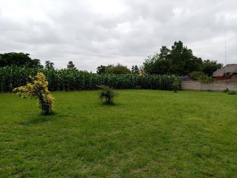 House Rental Monthly In Randburg - Photo 7