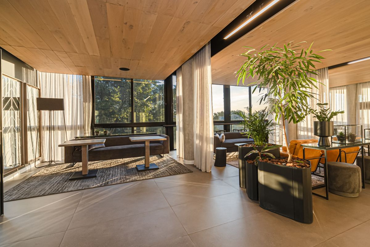 A modern, high-end living area featuring a warm timber-clad ceiling, expansive floor-to-ceiling windows, and large format floor tiles with excellent natural light.