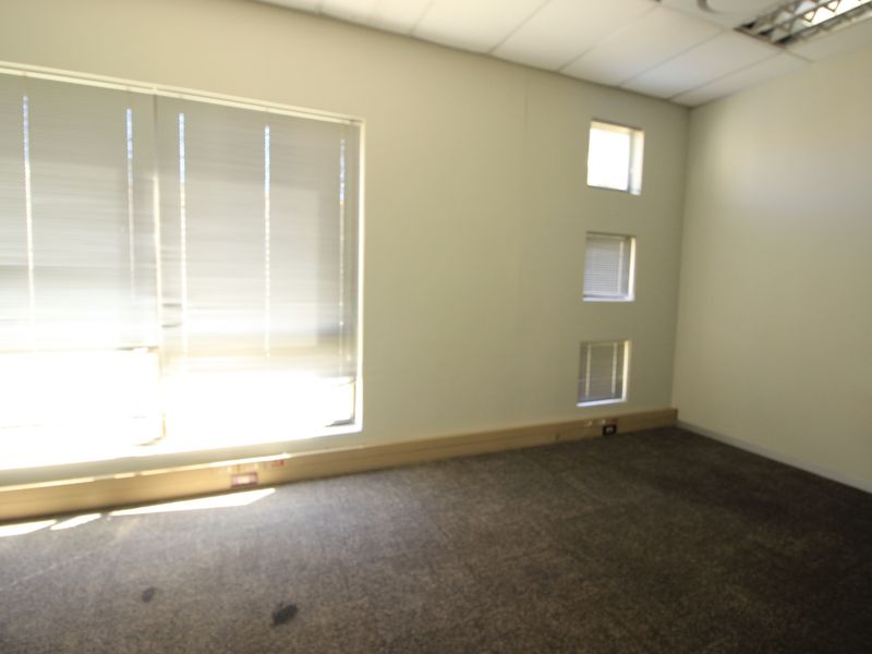 An empty office space featuring a suspended ceiling, recessed lighting, carpeted flooring, and multiple windows with fitted venetian blinds.