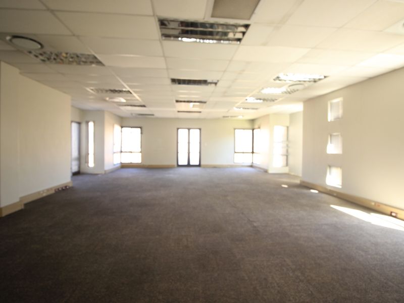 Spacious open-plan commercial office area featuring a suspended ceiling, recessed lighting, and carpeted flooring, offering a versatile workspace ready for custom configuration.