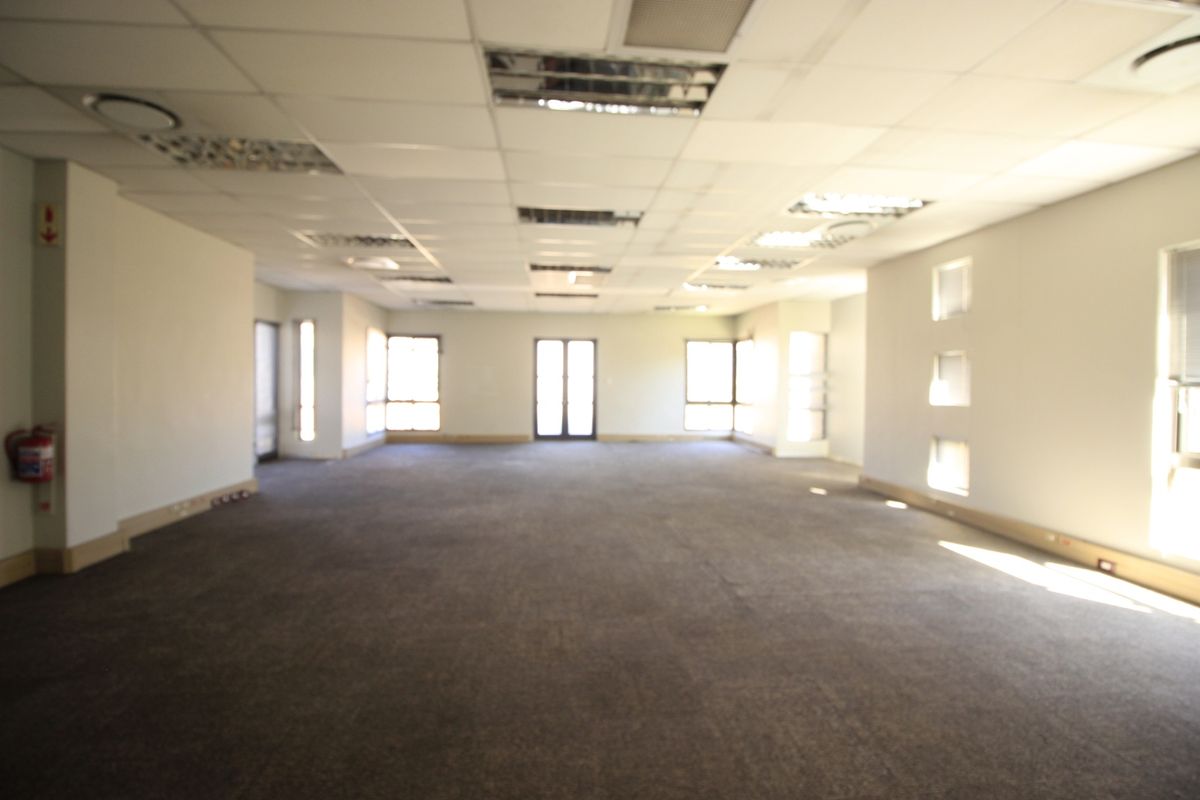 Spacious open-plan commercial office area featuring a suspended ceiling, recessed lighting, and carpeted flooring, offering a versatile workspace ready for custom configuration.