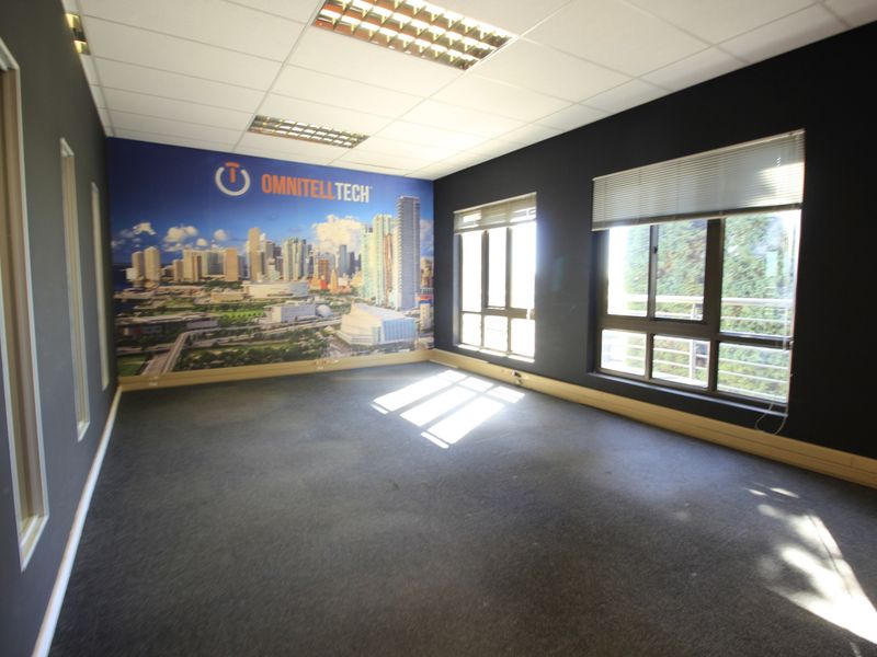 An empty commercial office space featuring dark walls, carpeted flooring, large windows with blinds, and a suspended ceiling with recessed lighting.