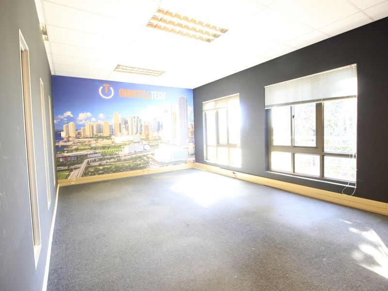 An empty commercial office space featuring dark painted walls, large windows with blinds, carpeted flooring, and a suspended ceiling with recessed lighting.