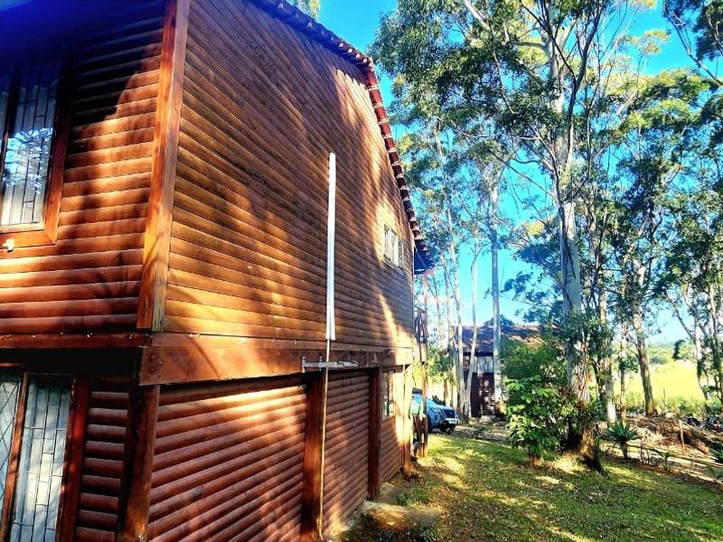 Rear view of a two-story timber log townhouse featuring large windows and a natural wooded setting.