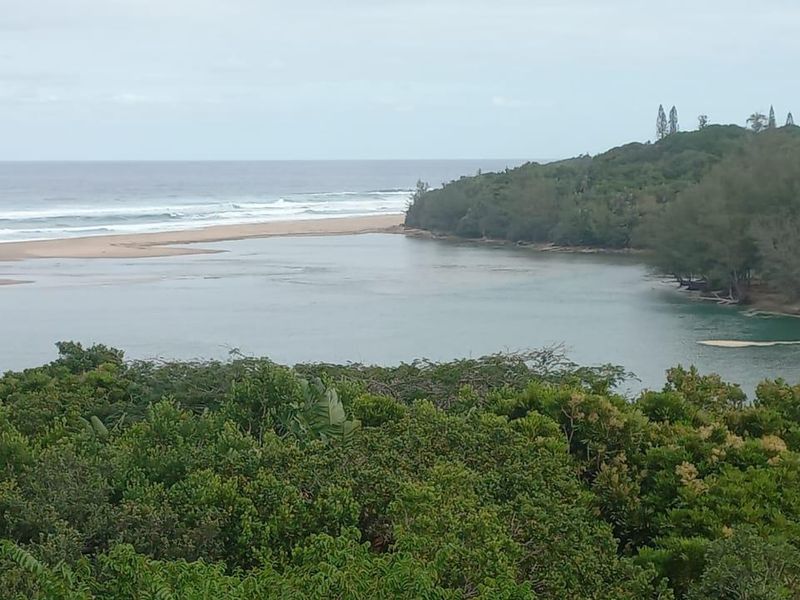 Apartment For Sale In Port Edward - Photo 1