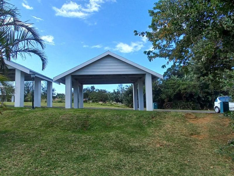 Vacant Land For Sale In Port Edward - Photo 5