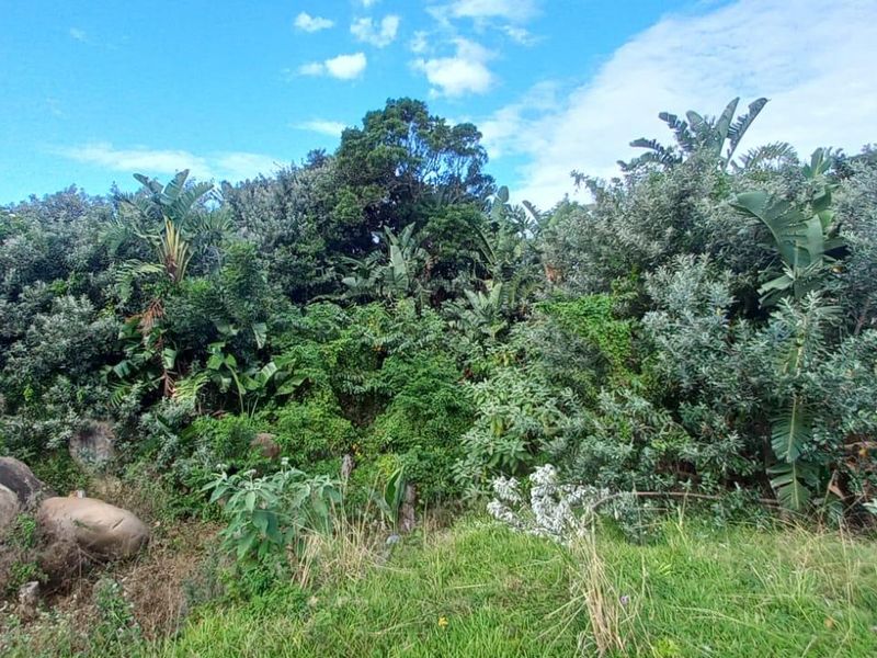 Vacant Land For Sale In Port Edward - Photo 2