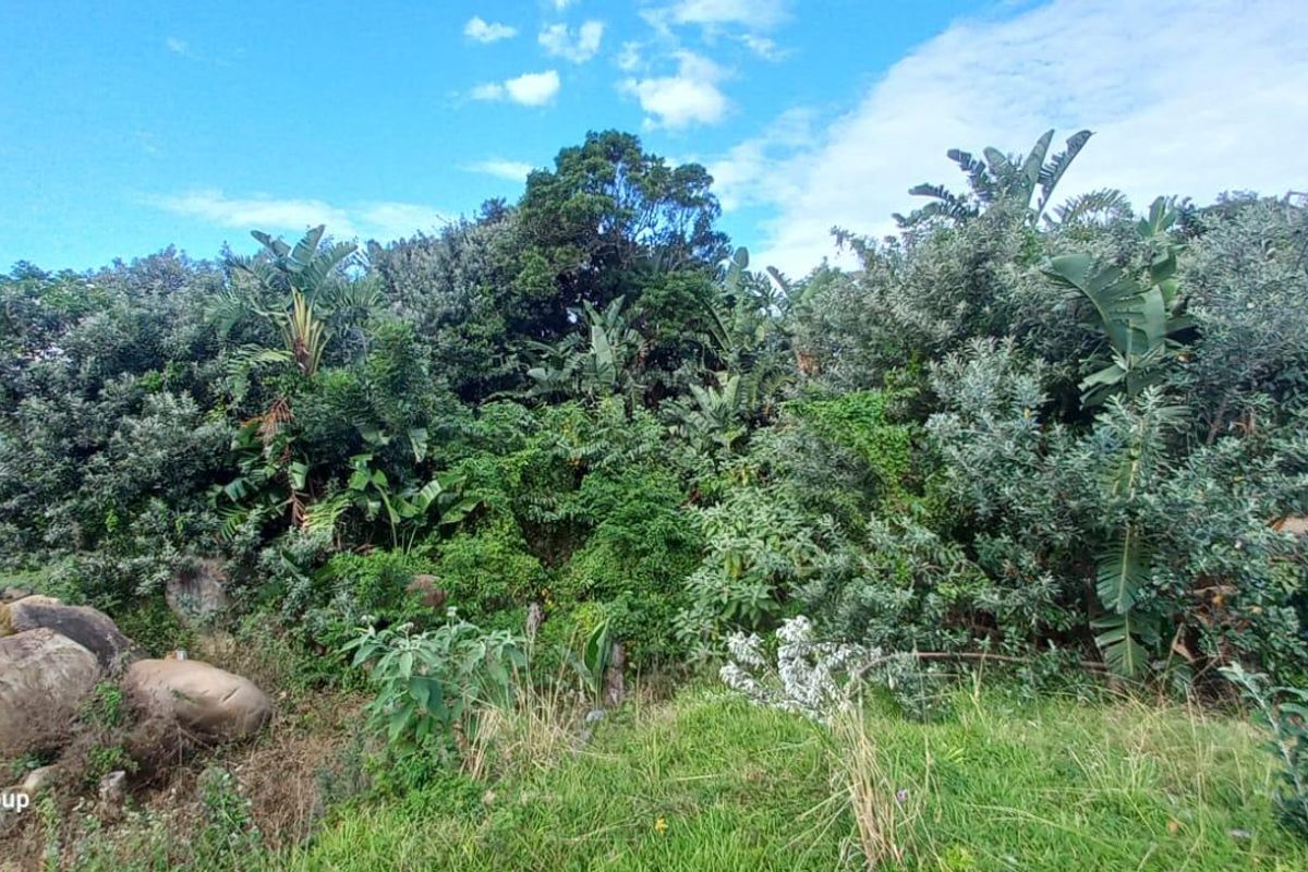 Vacant Land For Sale In Port Edward - Photo 2