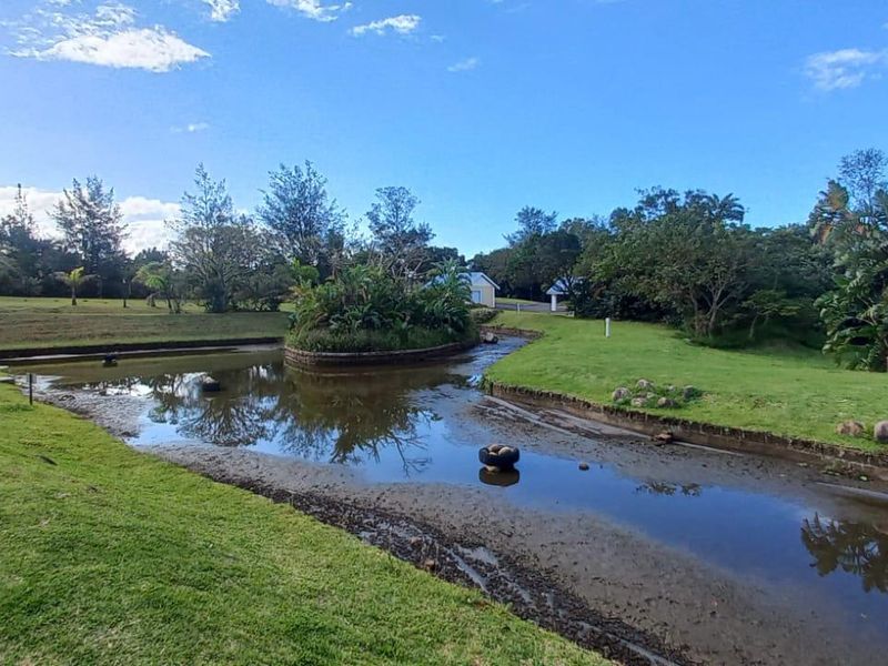 Vacant Land For Sale In Port Edward - Photo 5