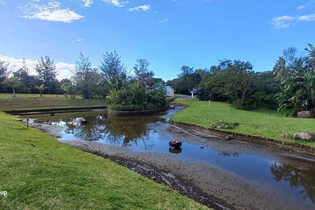 Vacant Land For Sale In Port Edward - Photo 5