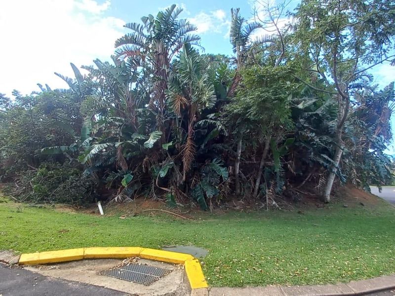 Vacant Land For Sale In Port Edward - Photo 4