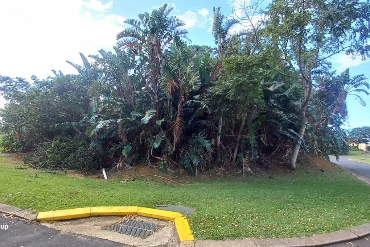 Vacant Land For Sale In Port Edward - Photo 4