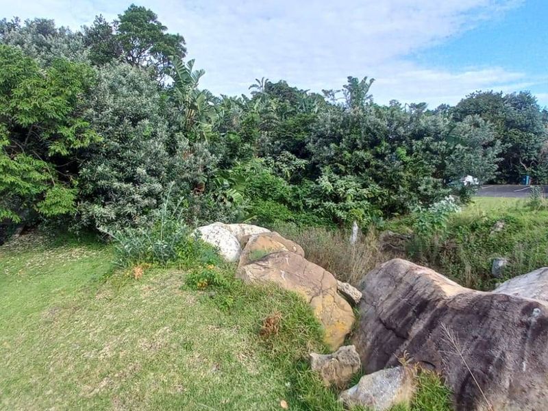 Vacant Land For Sale In Port Edward - Photo 6