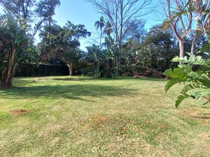 Vacant Land For Sale In Port Edward - Photo 4