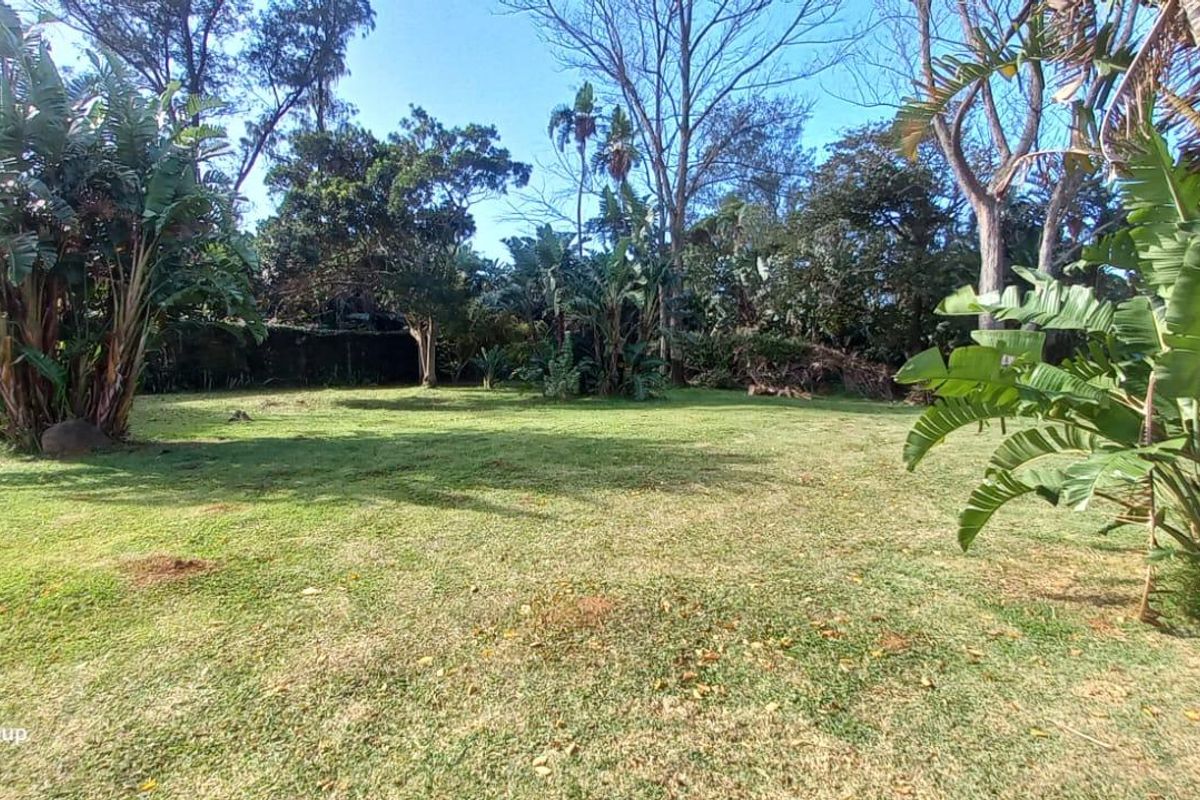 Vacant Land For Sale In Port Edward - Photo 4