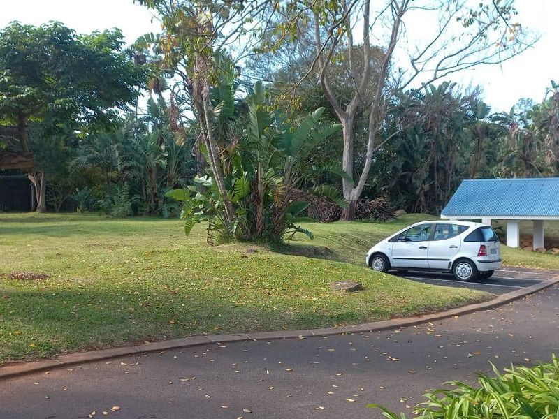 Vacant Land For Sale In Port Edward - Photo 6