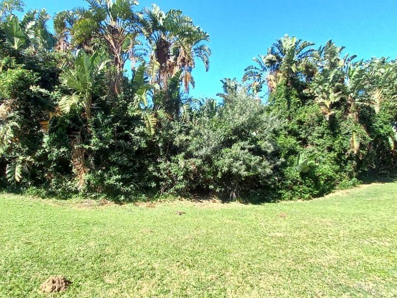 Vacant Land For Sale In Port Edward - Photo 7
