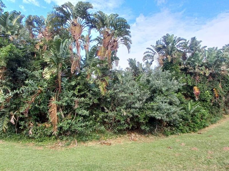 Vacant Land For Sale In Port Edward - Photo 8