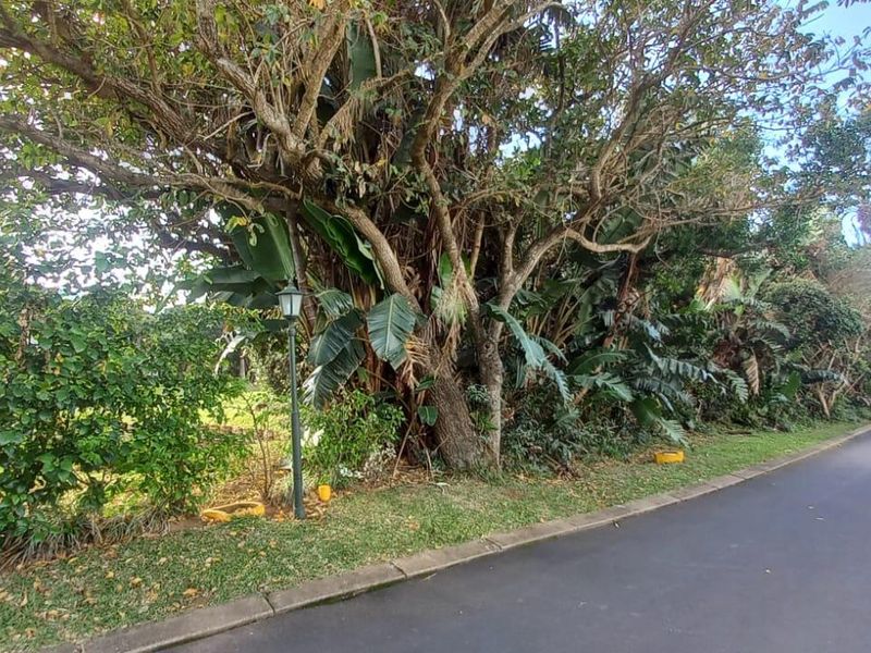 Vacant Land For Sale In Port Edward - Photo 9