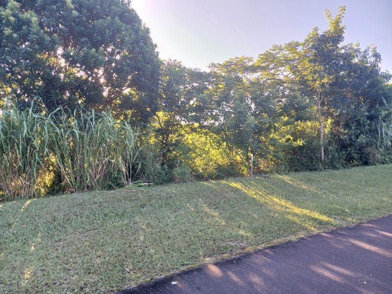 A view of the street frontage featuring a grass verge and mature trees bordering the vacant residential land.