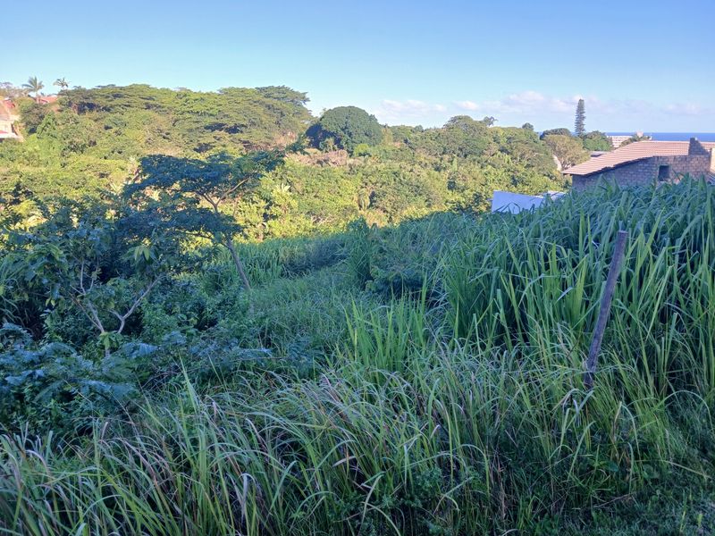 A view of the sloped, undeveloped residential land featuring dense natural vegetation and surrounding greenery.