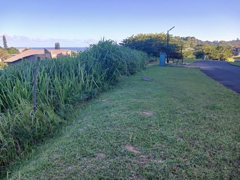 A view of the street frontage and verge area adjacent to the vacant residential land, featuring established grass and street lighting.