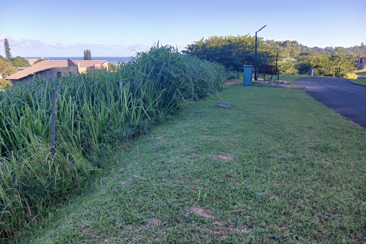 A view of the street frontage and verge area adjacent to the vacant residential land, featuring established grass and street lighting.