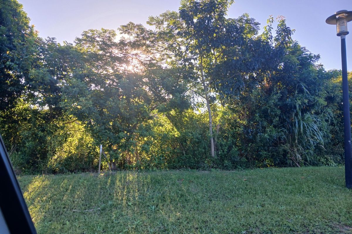 A view of a well-maintained lawn area bordered by mature trees and foliage, featuring a functional street light.