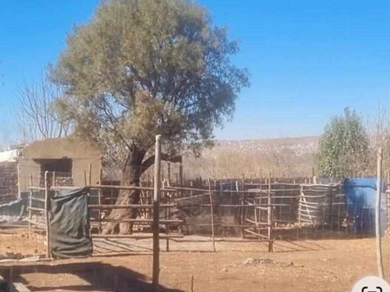 Farm Rental Monthly In Pretoria - Photo 8
