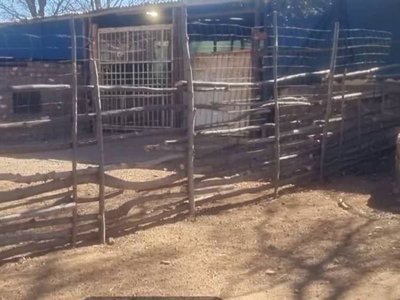 Farm Rental Monthly In Pretoria - Photo 7