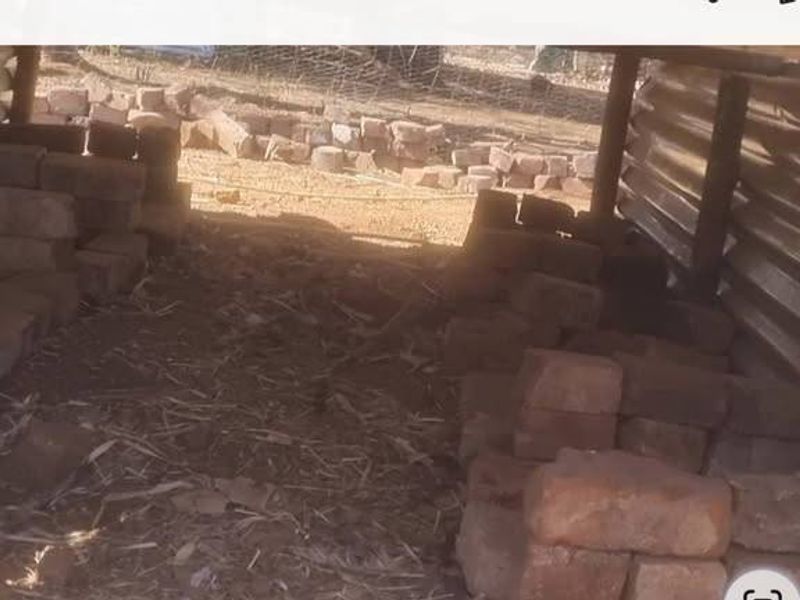 Farm Rental Monthly In Pretoria - Photo 3