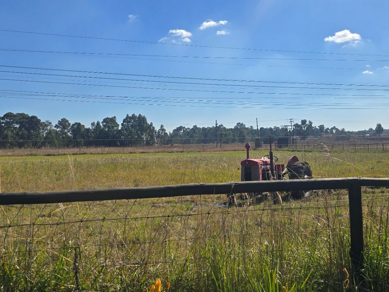Farm For Sale In Benoni - Photo 5