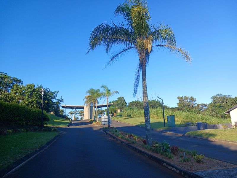 A well-maintained entrance driveway leading to a residential estate gatehouse, featuring landscaped gardens and mature palm trees under a clear blue sky.