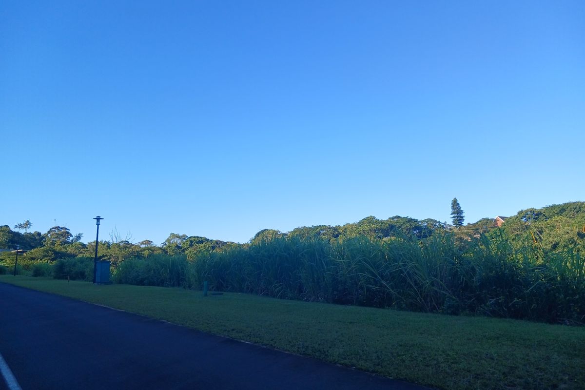 A view of a paved residential street with a grass verge and surrounding greenery under a clear blue sky.