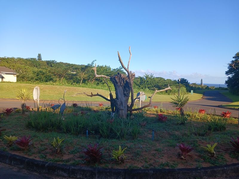A landscaped garden area featuring a central decorative tree stump, surrounding ornamental plants, and paved road access within a residential estate setting.