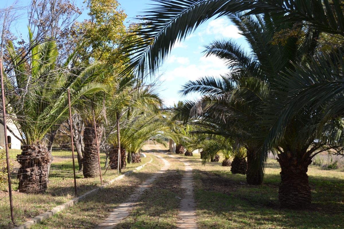 Farm For Sale In Deneysville - Photo 2