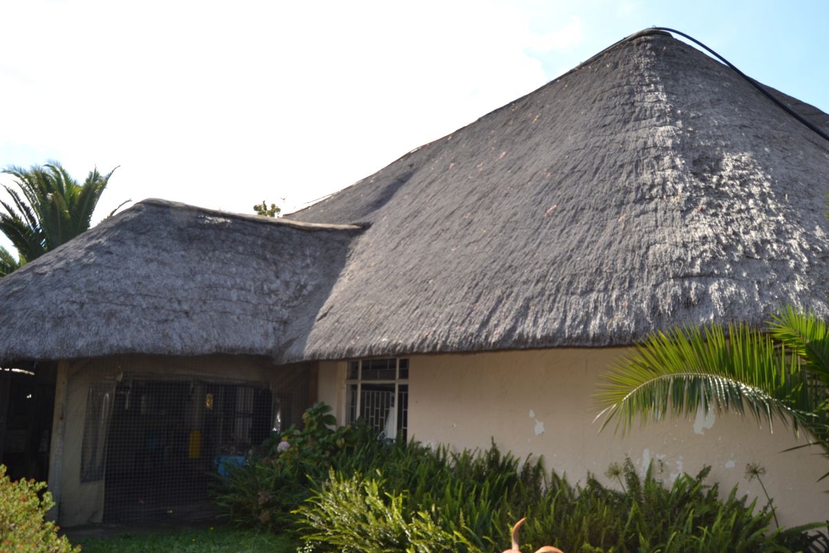 Rear view of a farm-style dwelling featuring a traditional thatch roof and exterior walls showing signs of wear and peeling paint.