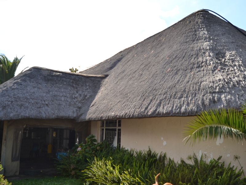 Rear view of a farm-style dwelling featuring a traditional thatch roof and exterior walls showing signs of wear and peeling paint.