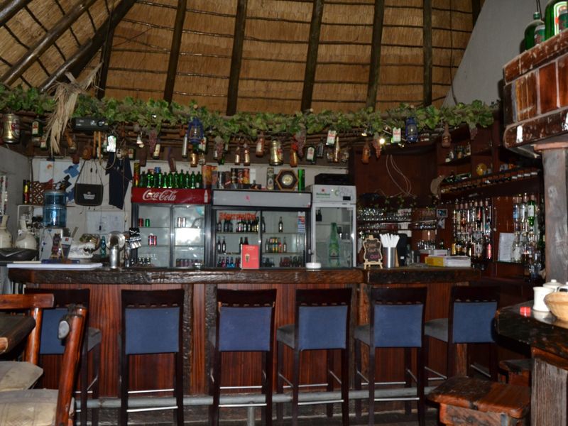 A rustic bar area featuring a traditional thatched roof, exposed timber rafters, and a substantial built-in timber bar counter with integrated shelving.