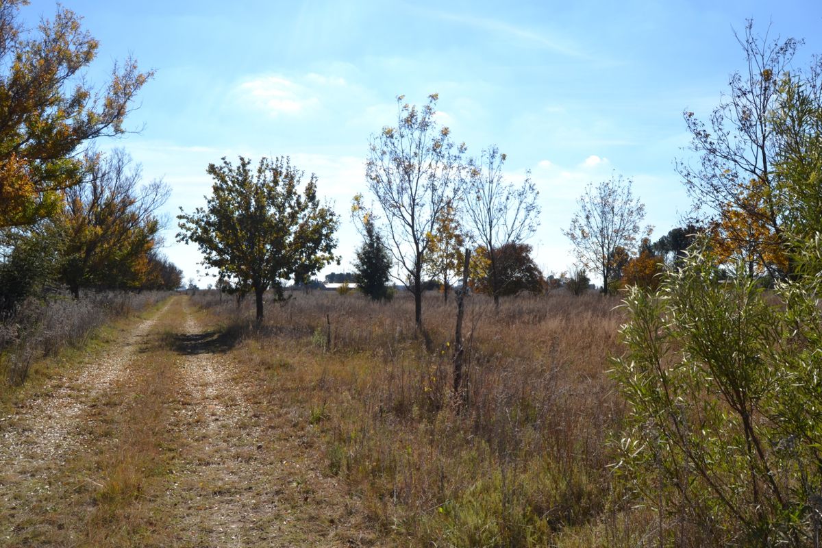 Vacant Land For Sale In Sasolburg - Photo 2