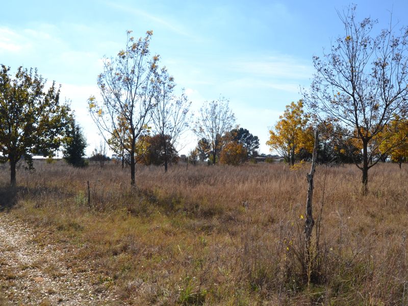 A view of a vacant residential plot featuring established trees and natural grassland vegetation.