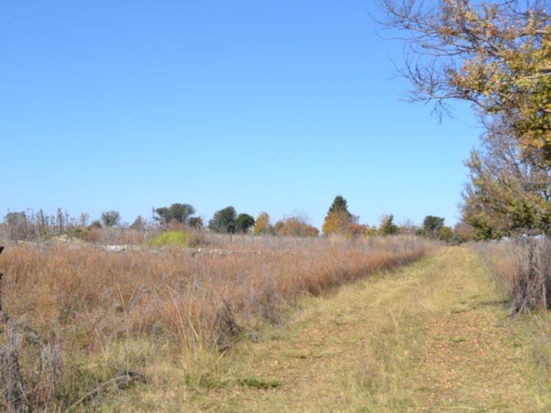 A view of a vacant residential plot featuring natural grass, mature trees, and existing wire fencing along the boundary.