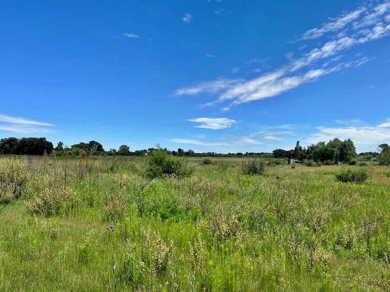 Vacant Land For Sale In Bloemfontein - Photo 1