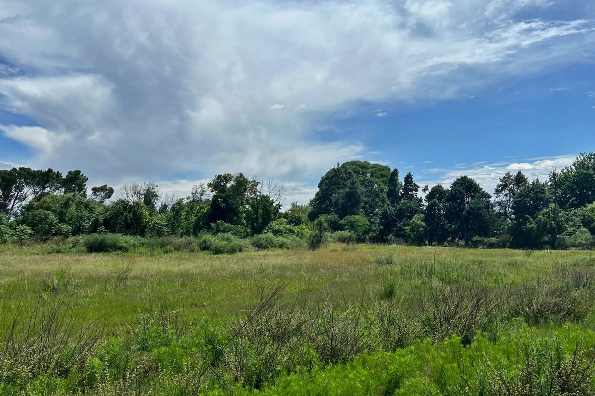 Vacant Land For Sale In Bloemfontein - Photo 3