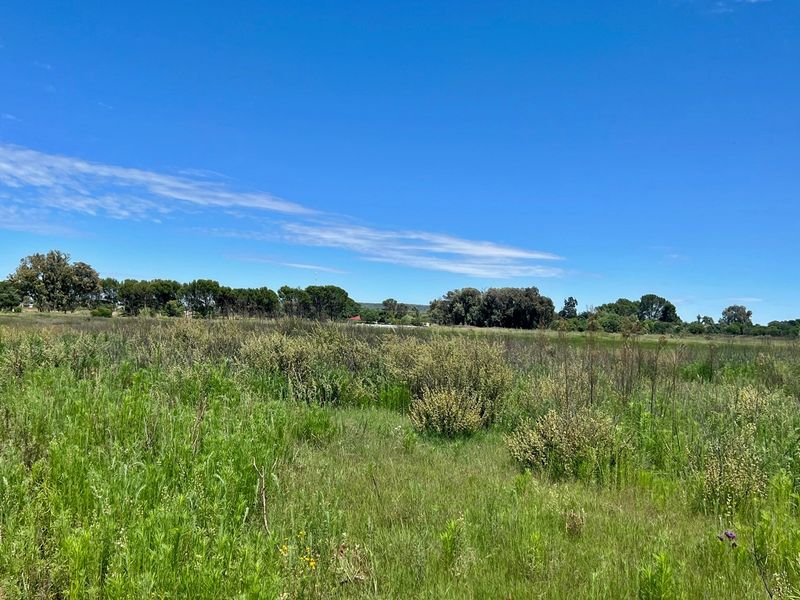 Vacant Land For Sale In Bloemfontein - Photo 2